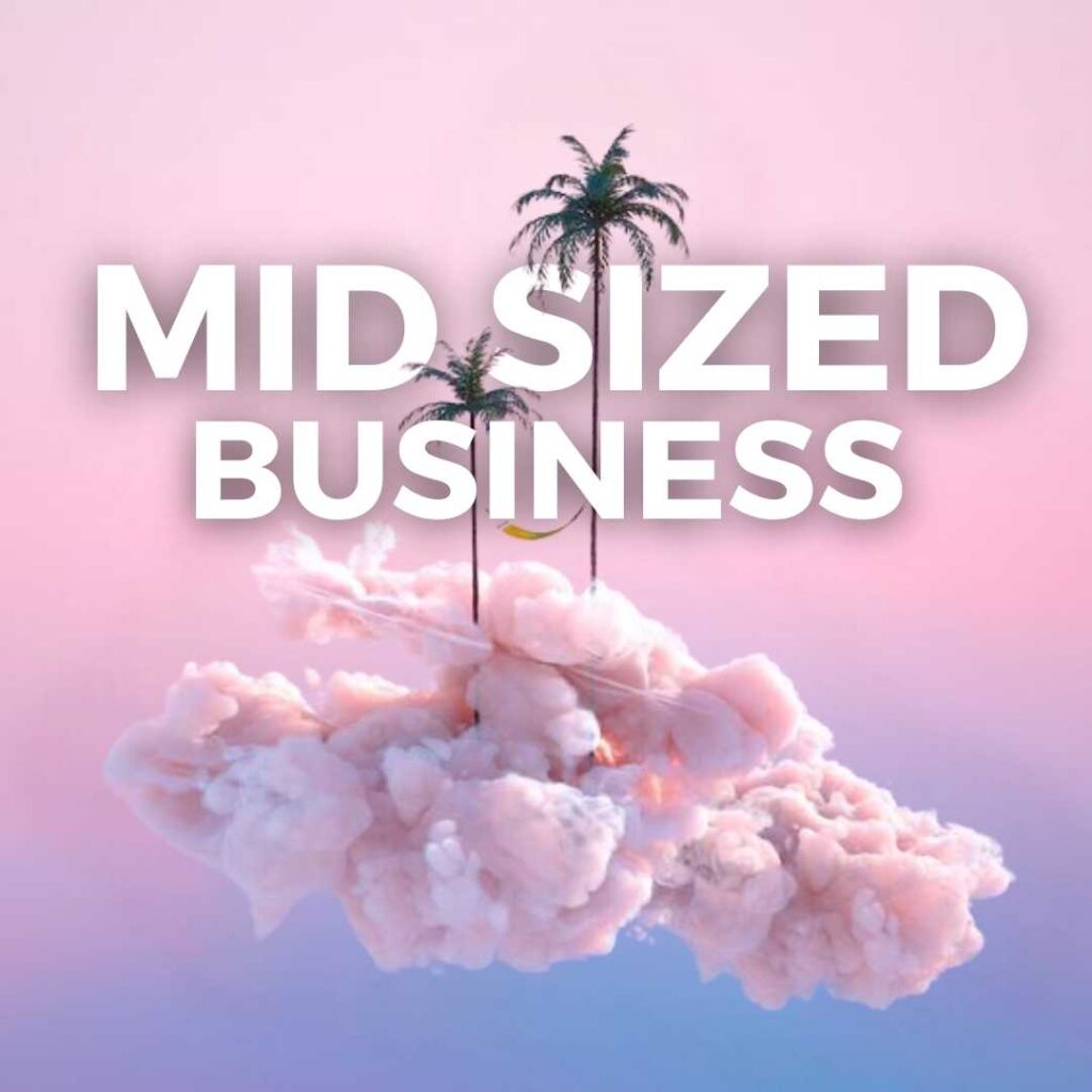 Mid Sized Business